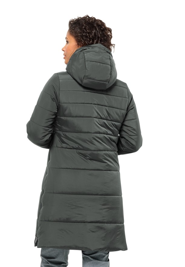 Jack Wolfskin Eisbach Jassen Dames Grijs | 11212152