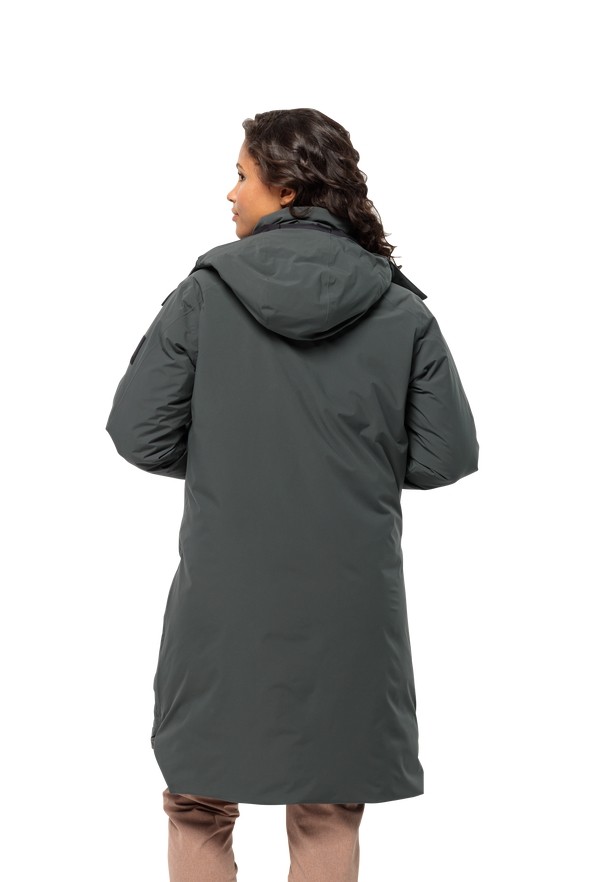 Jack Wolfskin Luisenplatz Donzen Jassen Dames Grijs | 37067501